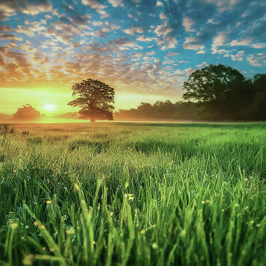 The Best Time of Day to Use Your Acupressure Mat: A Personal Journey